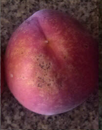 Bacterial Spots on Peach Bacterial Spots on Peach