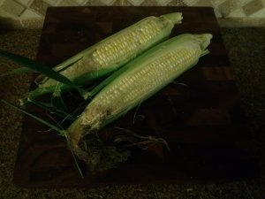 Two Ears Ambrosia Sweet Corn, October 18, 2013