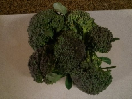 Picture of broccoli