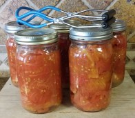 A picture of 5 quart jars of freshly canned garden tomatoes.