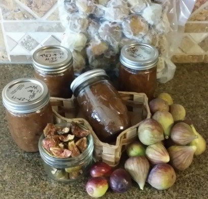 Shown are dried figs, frozen packaged figs, canned fig preserves, and fresh figs