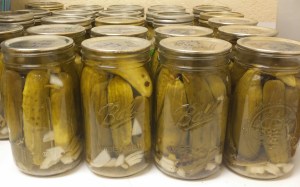 Jars of Pickles, Summer 2014