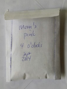 labelled seed envelope