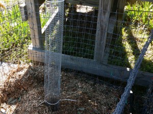 Compost "bin" with central aeration tube.
