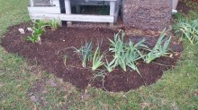 Updated Garden Bed, March 7, 2016