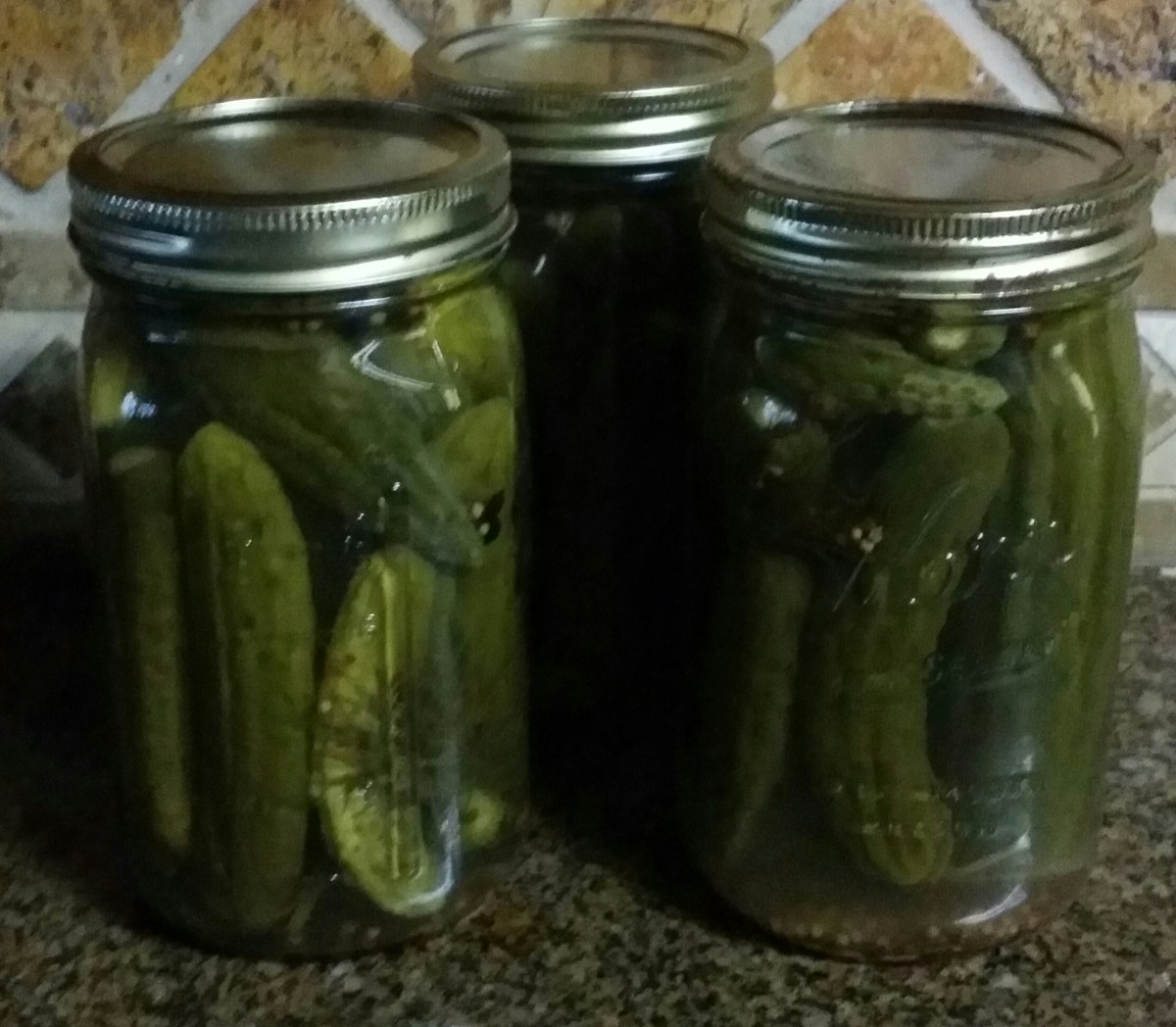 3 quart jars filled will freshly pickled cucumbers