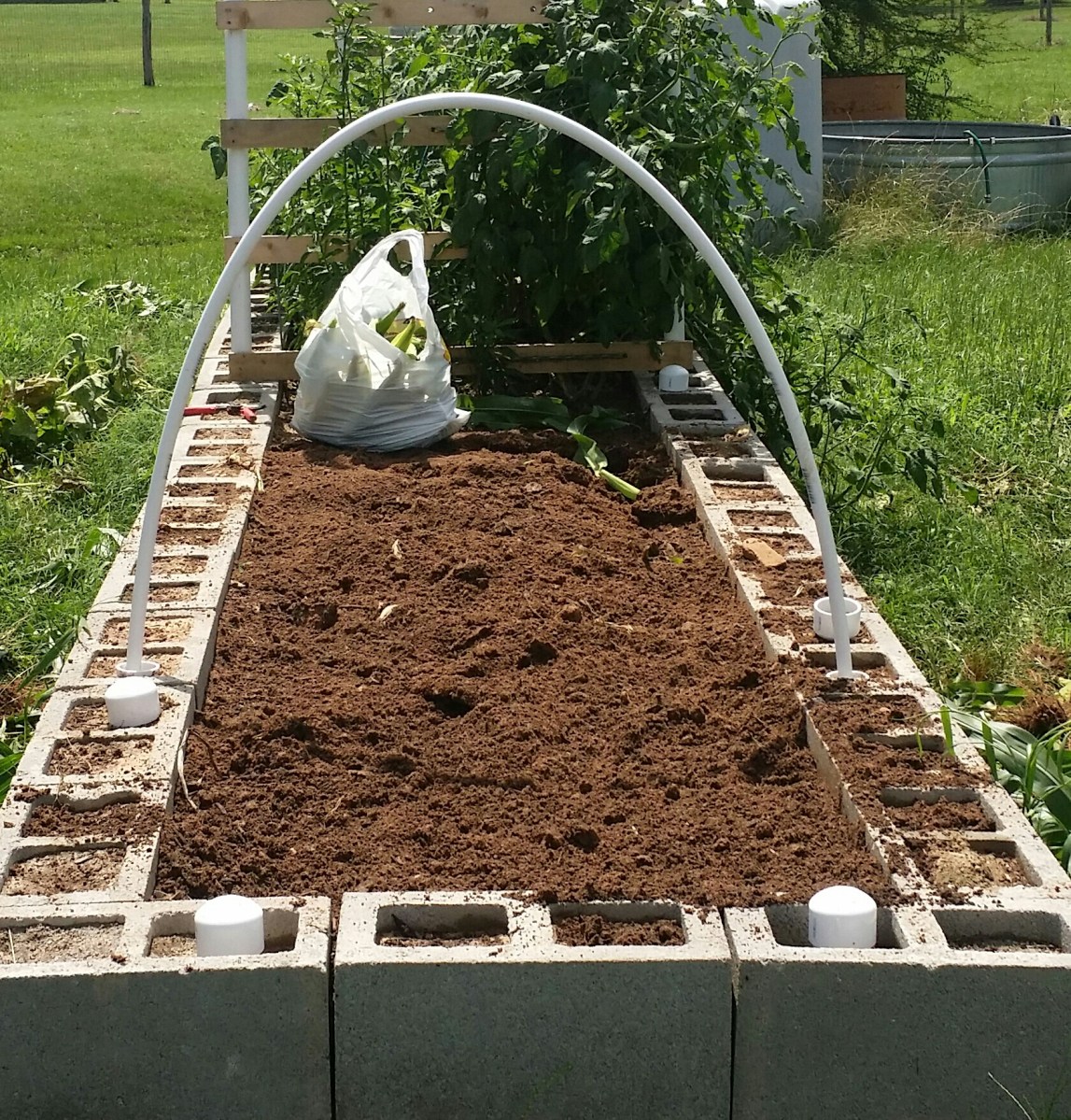 Corn Plants Removed, Soil Open