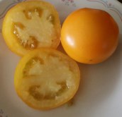 Pineapple Tomato; Sliced