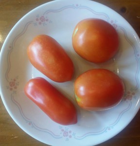 Rectangular-shaped San Marzano tomatoes and rounded "Roma" tomatoes