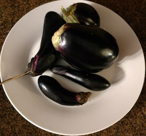 Eggplant fruit harvested about December 18, 2016.