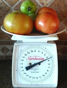 Tomatoes, December 22, 2016