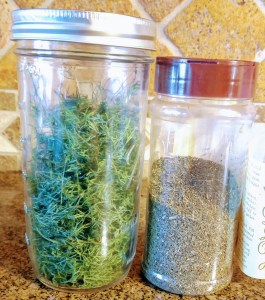 Dried Dill Weed:  Fresh sample is green, store bought is brown