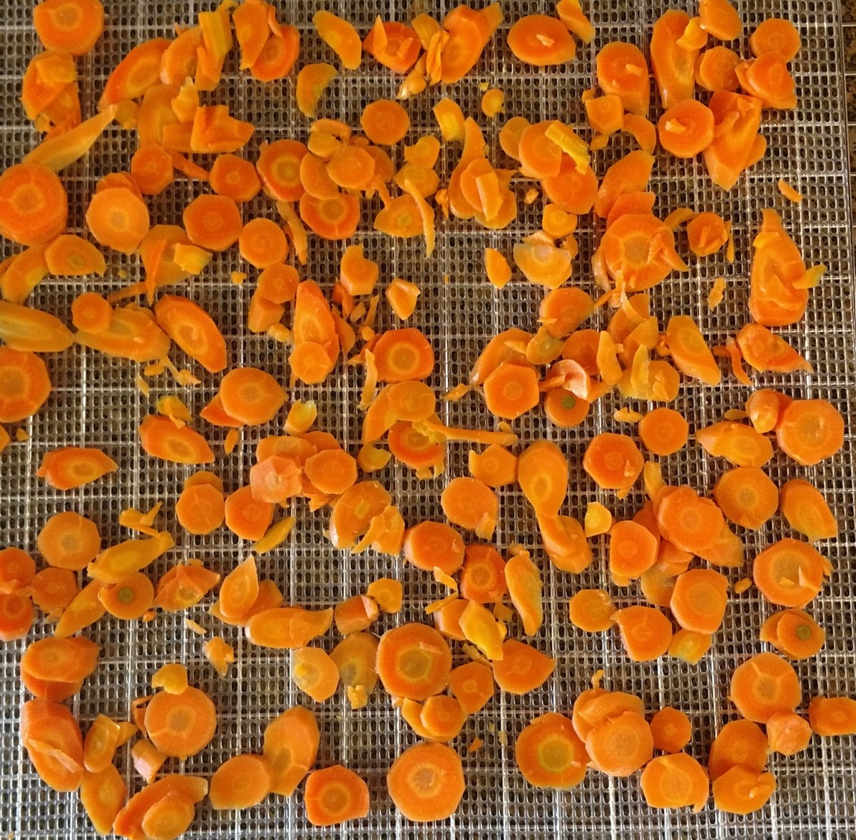 Sliced Carrots on the Drier Shelf