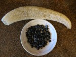 About 50 dark colored seeds removed from a single Luffa sponge.