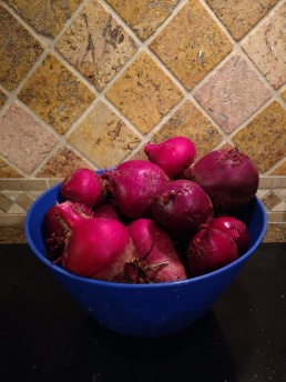 Bowl of Red Beets (1.5 gallons)