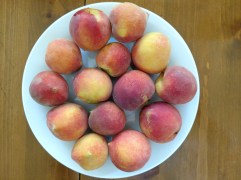 Sample of Peaches Picked July 3, 2018, on a white ceramic plate