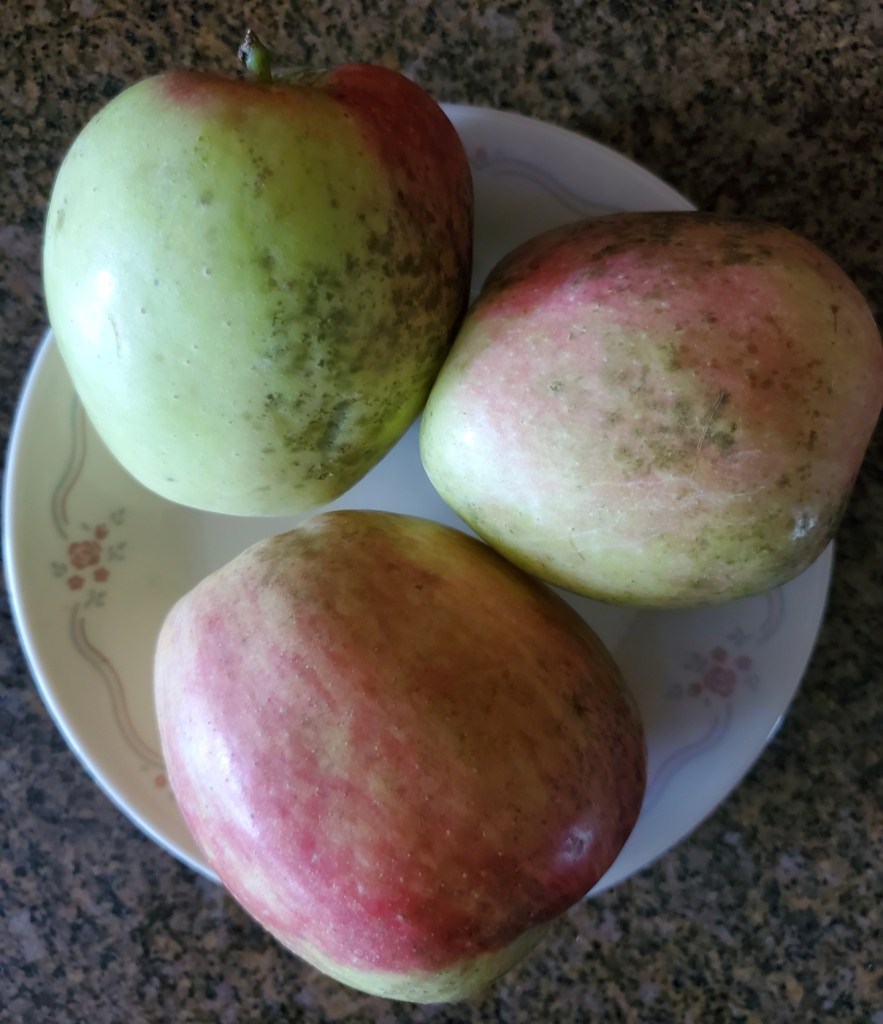 Pink Lady Apples, 2025